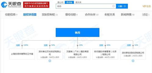 從球場(chǎng)到商海 林丹退役后的商業(yè)版圖與數(shù)字足跡